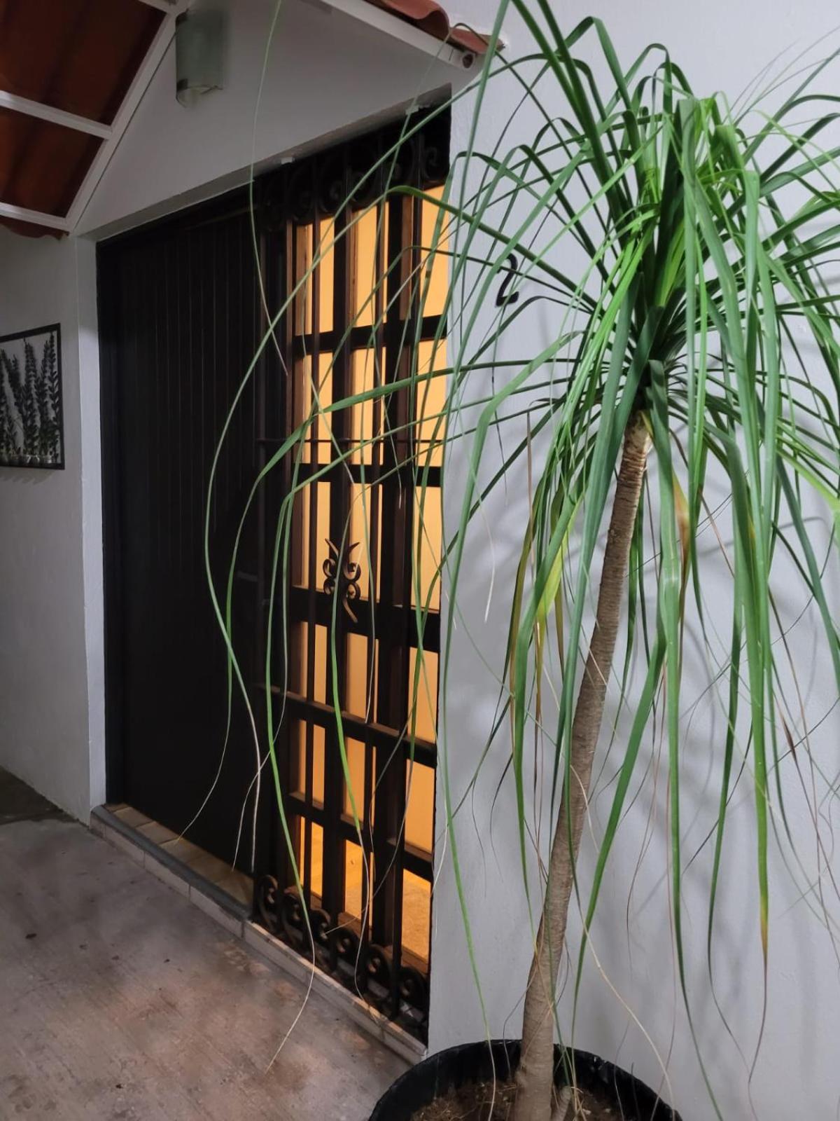 Casa B & L Centrico Departamento Oaxaca Exterior foto